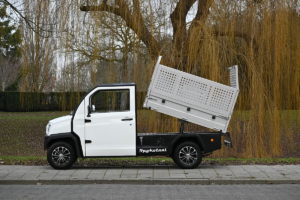 Spijkstaal IONA Kipper 12